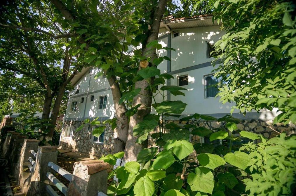 Bam Hotel Vama Veche Zewnętrze zdjęcie